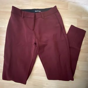 Express Burgundy Dress Pant
